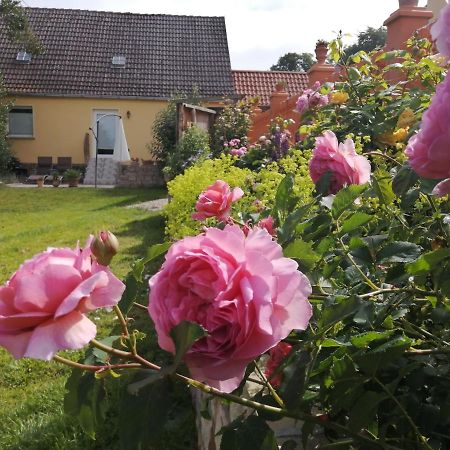 Strandhaus Mariflor Brook Exteriör bild