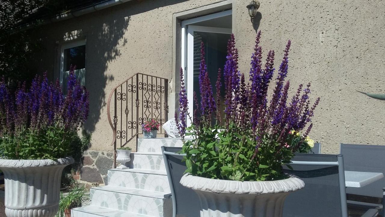 Strandhaus Mariflor Brook Exteriör bild