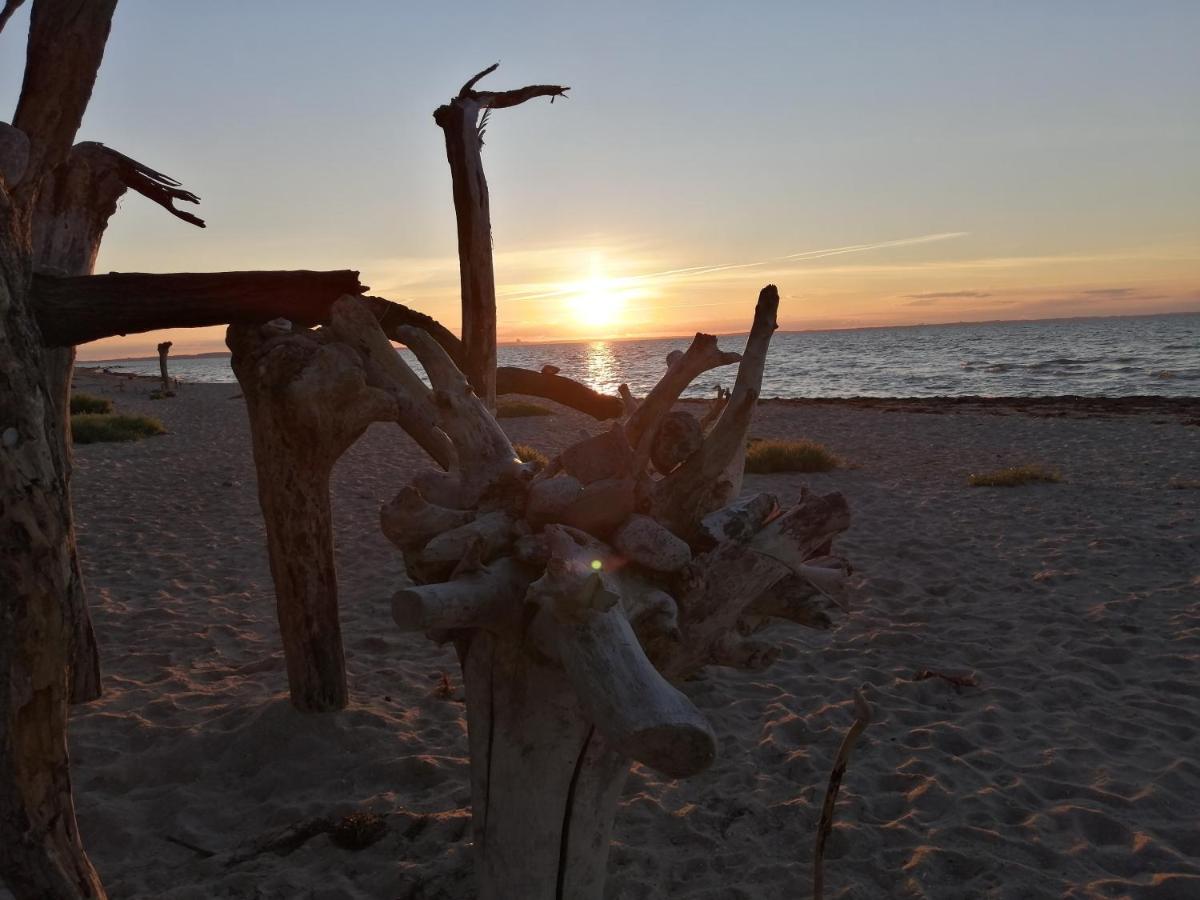 Strandhaus Mariflor Brook Exteriör bild